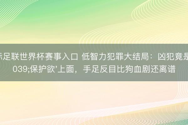 国际足联世界杯赛事入口 低智力犯罪大结局：凶犯竟是'保护欲'上面，手足反目比狗血剧还离谱