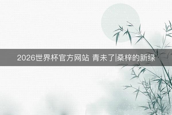 2026世界杯官方网站 青未了|桑梓的新绿