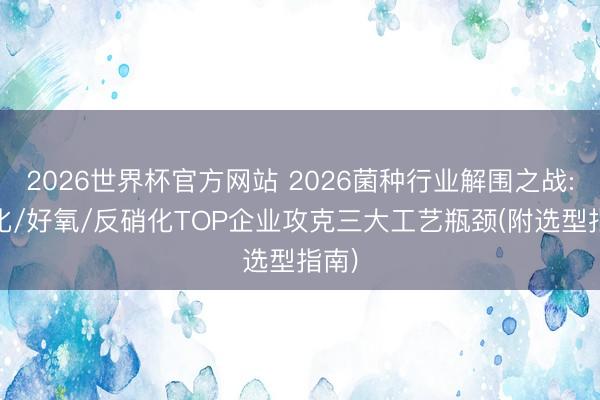 2026世界杯官方网站 2026菌种行业解围之战: 硝化/好氧/反硝化TOP企业攻克三大工艺瓶颈(附选型指南)