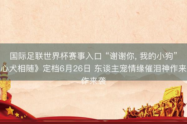国际足联世界杯赛事入口 “谢谢你， 我的小狗”《心犬相随》定档6月26日 东谈主宠情缘催泪神作来袭